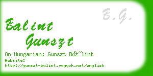 balint gunszt business card